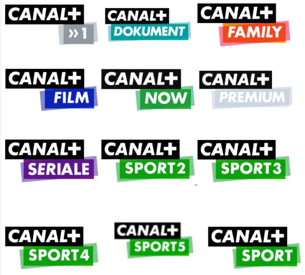 pakiet kanałów canal+ na 12 miesięcy